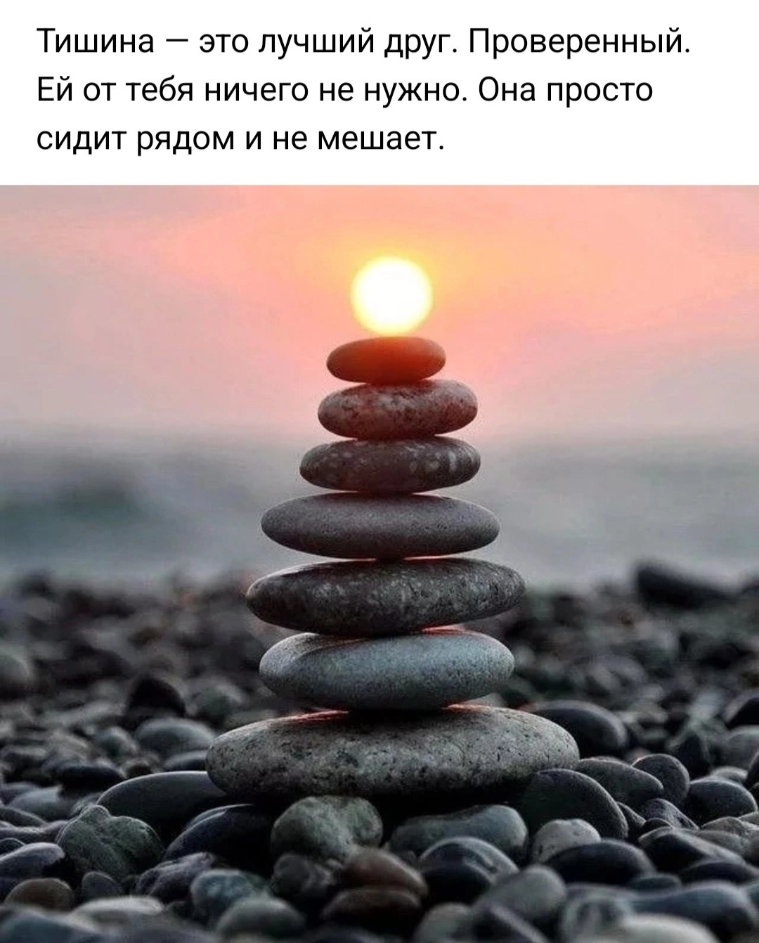  * * * - 8  2023  16:01