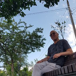 ����, ������, 58 ���