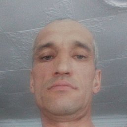 ������, ������, 43 ����