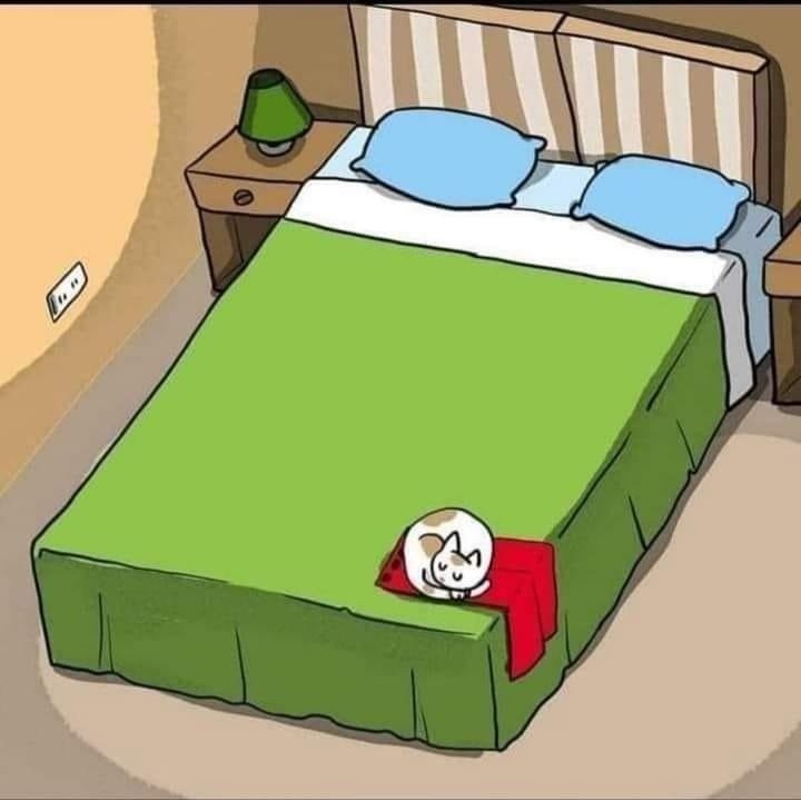  )