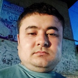 �����, ������, 37 ���