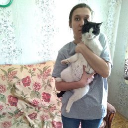 , 34 , -