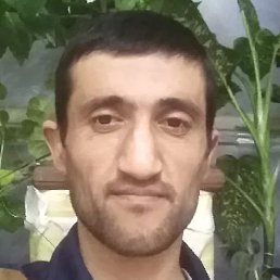 ������, �������, 38 ���