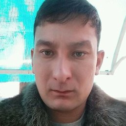 ������, �����, 37 ���