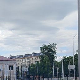 �����, ������������, 43 ����