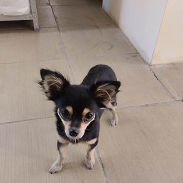 ���� �����, ���, 64 ���� - ��������� 9 �������� 2023