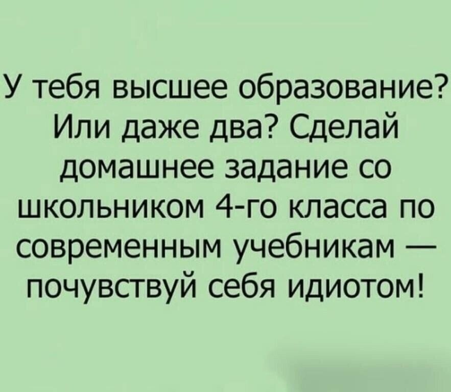 ☆ ☆ - 6  2023  11:31