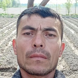 �������, �������, 39 ���