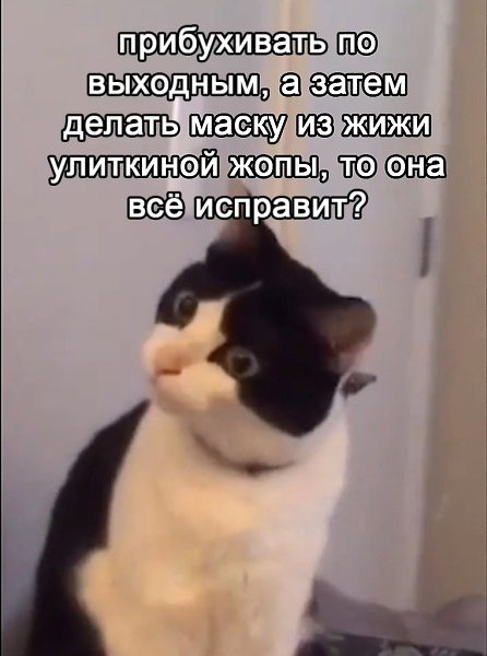       - 3