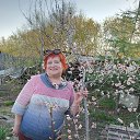 ���� �����, ������������, 66 ��� - ��������� 2 ��� 2023 � ������ ���� ����������