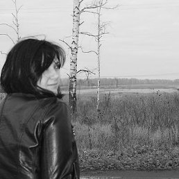 ���, ������, 41 ���