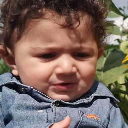 Marine, �����������, 38 ���