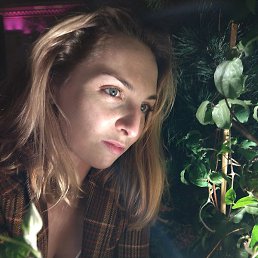 ������, ������, 36 ���