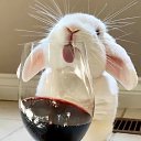 ���� �����, ���������� - ��������� 14 ������ 2023