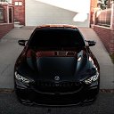 ���� ������ �����������, ������, 21 ��� - ��������� 4 ������� 2023 � ������ ���� ����������