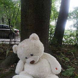 Aleksii, �����, 49 ���