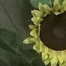 ����, �����������, 62 ����