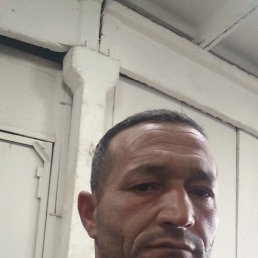 , -, 41 