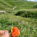 ���� �����, ���������, 41 ��� - ��������� 2 ������� 2023 � ������ ���� ����������