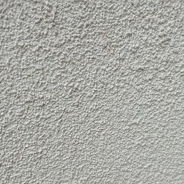 ���, ������, 29 ���