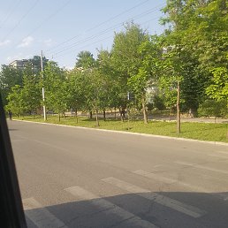 ���� ������, �����-���������, 37 ��� - ��������� 19 ��� 2023