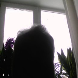 ������, �����, 68 ���