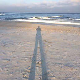 Karl, ������, 56 ���