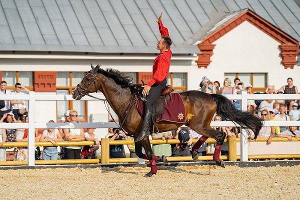 Уже сегодня и завтра на ВДНХ пройдёт сразу два чемпионата среди лучших представителей ахалтекинской ... - 2
