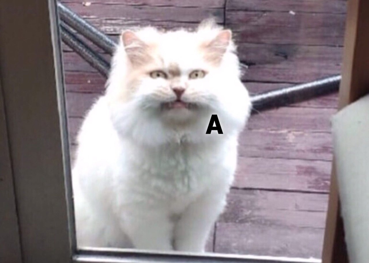 ! - 3