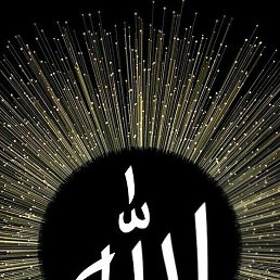 ���, �����, 40 ���