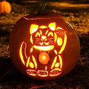 ���� Alexss, �����������, 61 ��� - ��������� 1 ���� 2023