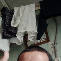 ���� ������, ���������� �����, 41 ��� - ��������� 19 ��� 2023