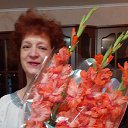 ���� �����, ���������, 54 ���� - ��������� 1 ������� 2023 � ������ ���� ����������