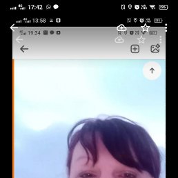 , 52, 