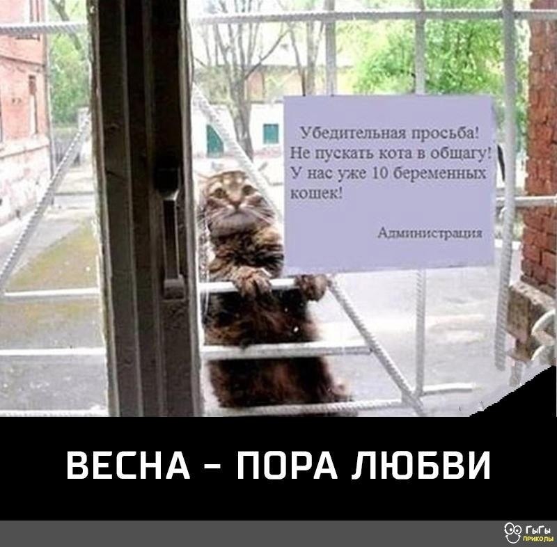  - 17  2023  17:49