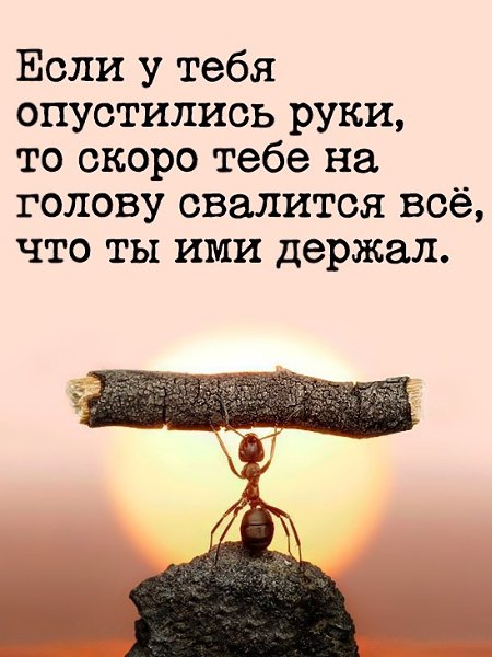   - 6  2023  13:46