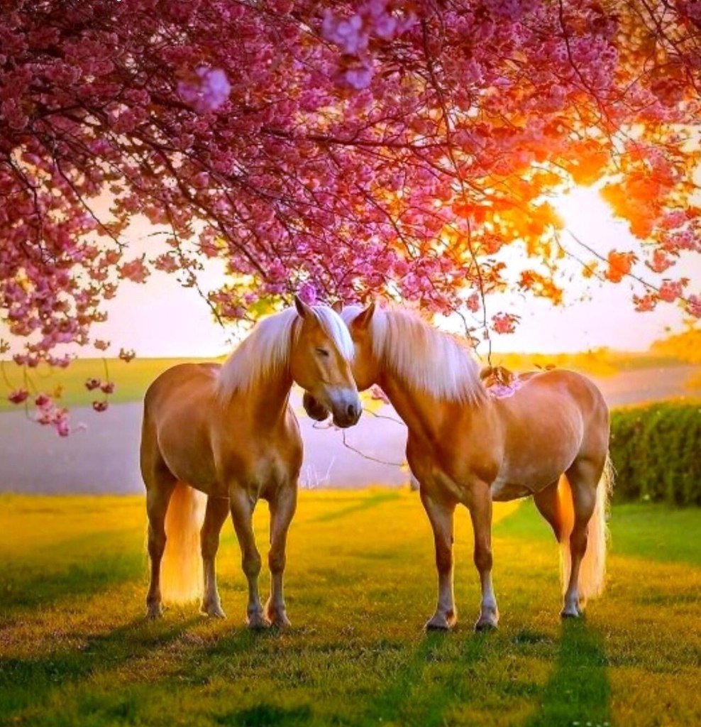 ...  — ....**********************  ************************