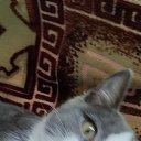 ���� �����, ������, 39 ��� - ��������� 10 ��� 2023 � ������ ���� ����������