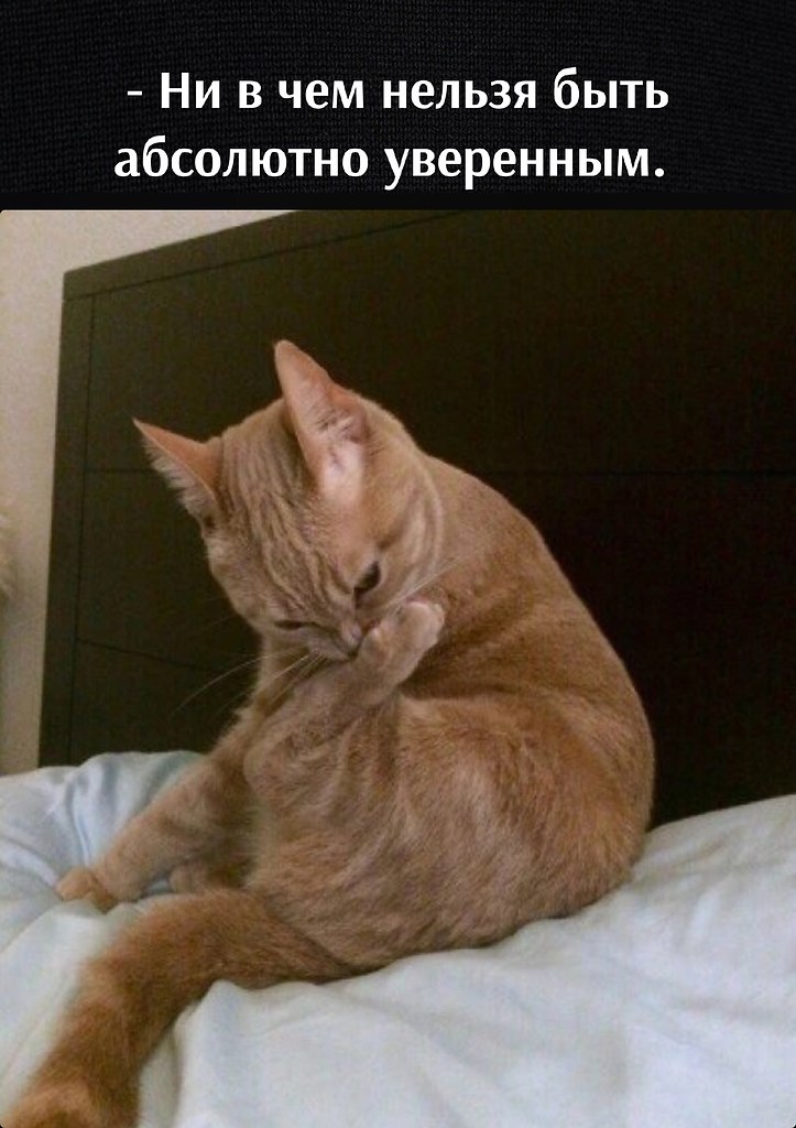       - 21  2023  12:53