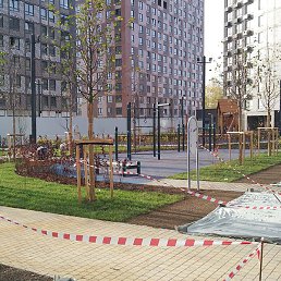 ���������, ������, 33 ����