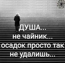   - 5  2023  22:18