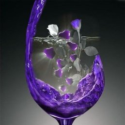 ���� ���������, ������-��-����, 31 ��� - ��������� 11 ������� 2023