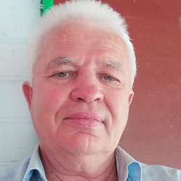 ���������, �����, 66 ���