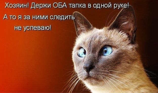    - 1  2023  02:17
