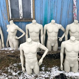 ���� �����, ������, 48 ��� - ��������� 5 ����� 2023