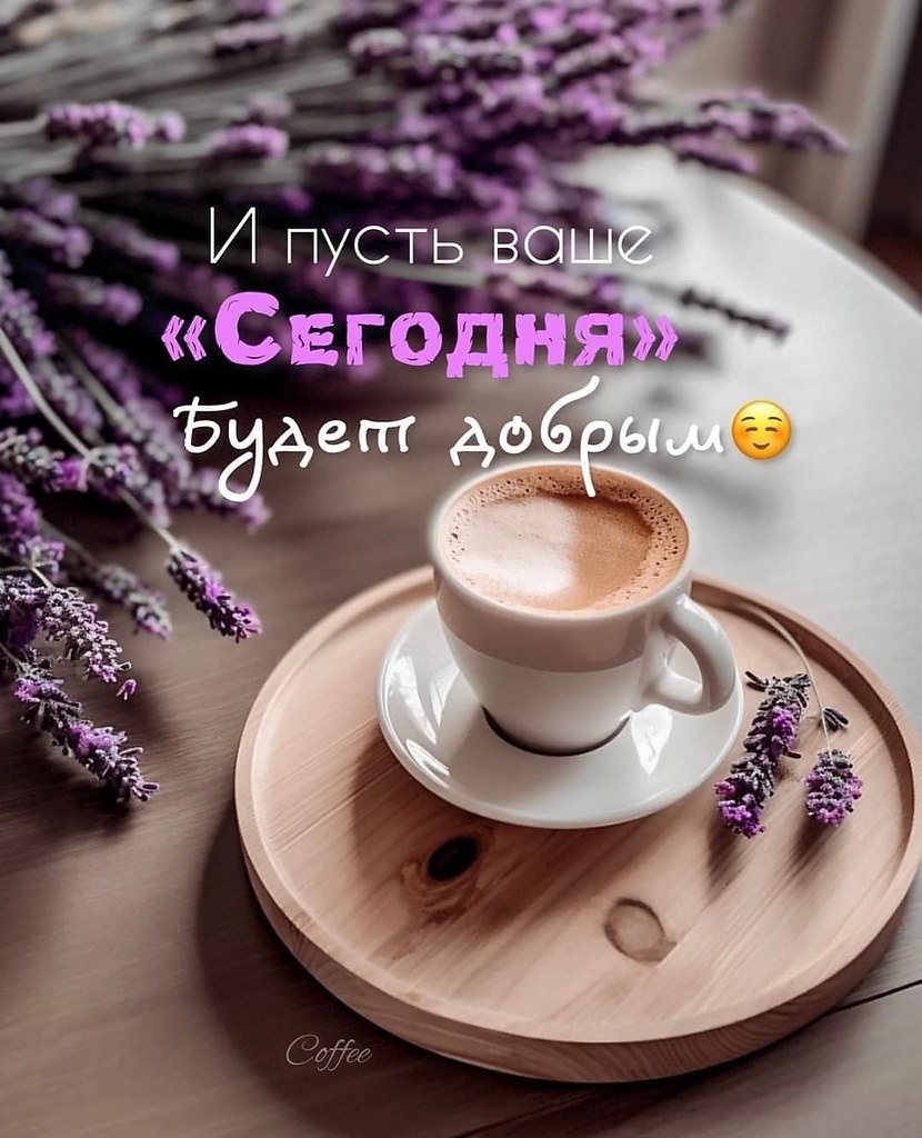   - 31  2023  05:46