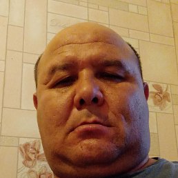 �����, �������, 43 ����