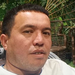 ����, �����, 37 ���