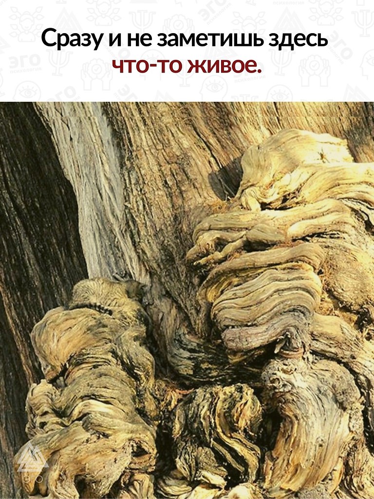       ,     ! ,  ...