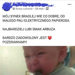 Owiec, �������, 31 ���